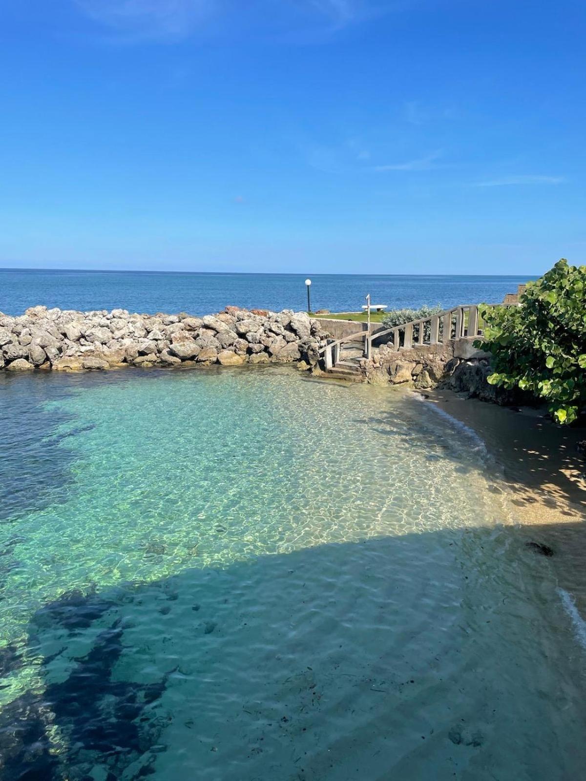 Sea 7 Apartment Ocho Rios Exterior photo